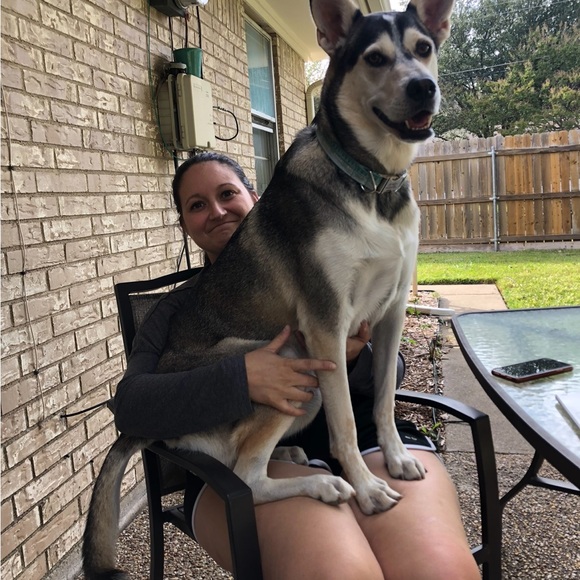 I’M LIVE 💚 - Picture 4 of 7